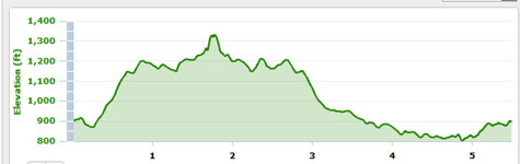 Liberty, monogram, running