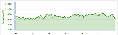 long run, Bedford, running