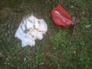 Presidents Day weekend snow, Virginia