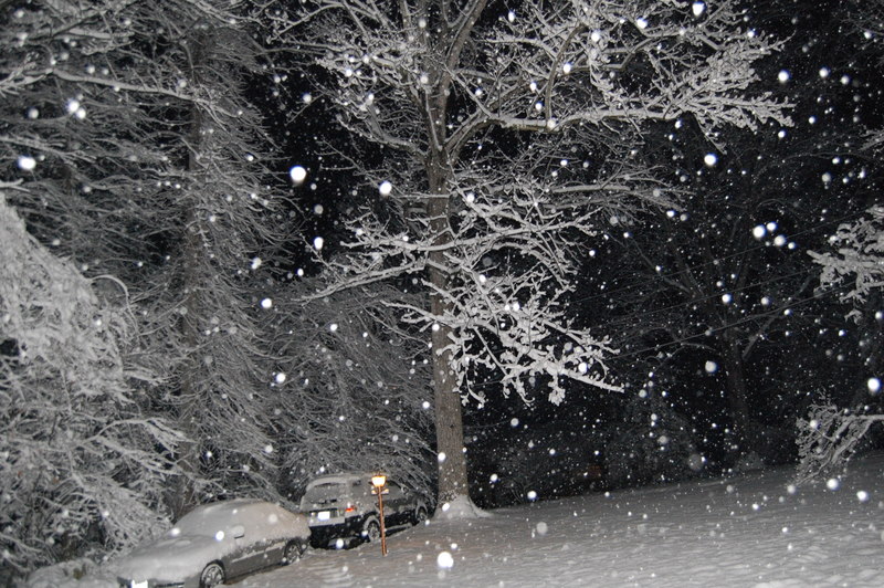 Presidents Day weekend snow, Virginia