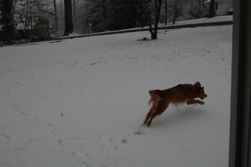 Presidents Day weekend snow