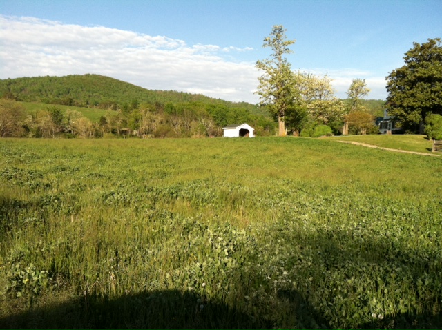 Johnson's Orchard in Bedford County, Va.