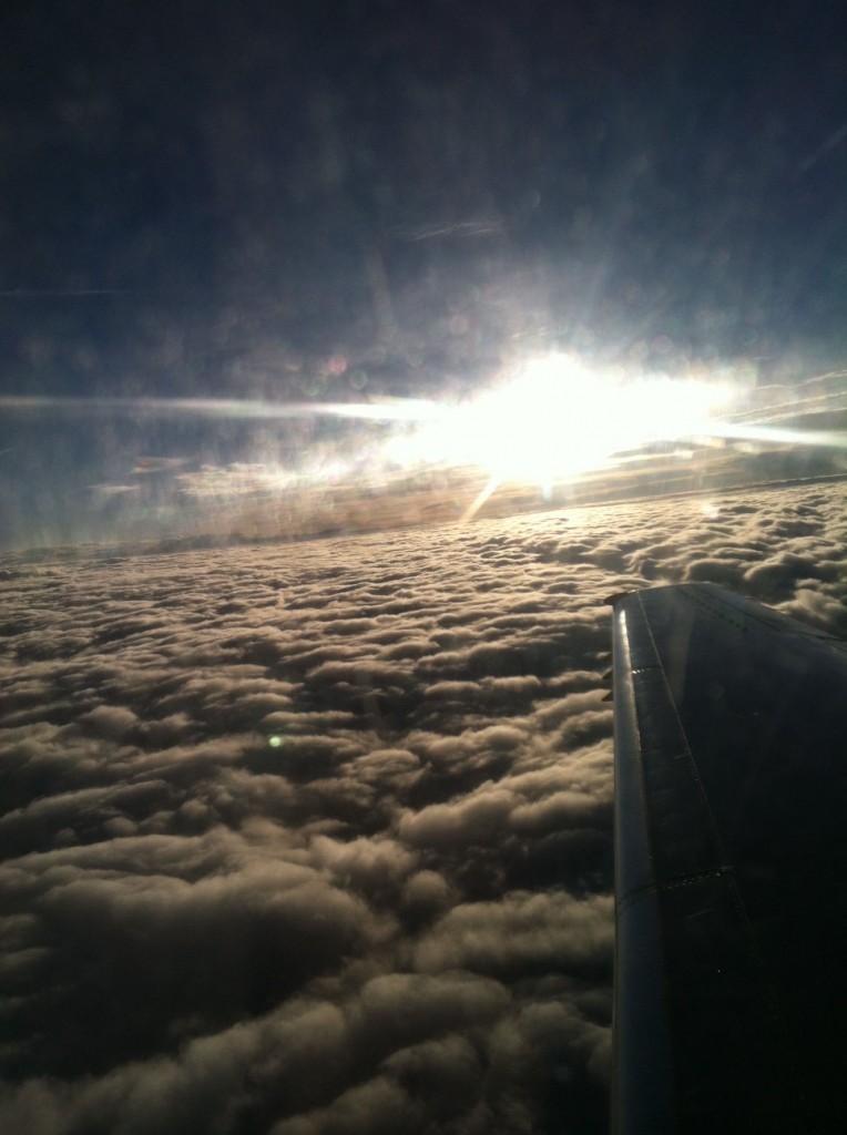 Flying, Wordless Wednesday