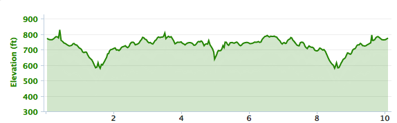 Virginia 10 Miler elevation, Lynchburg