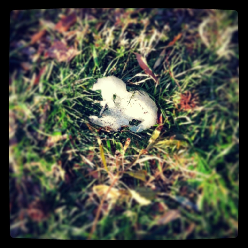 March 2013 Snowman II