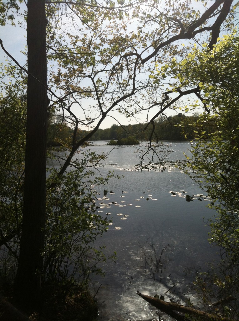Rockwood Park pond