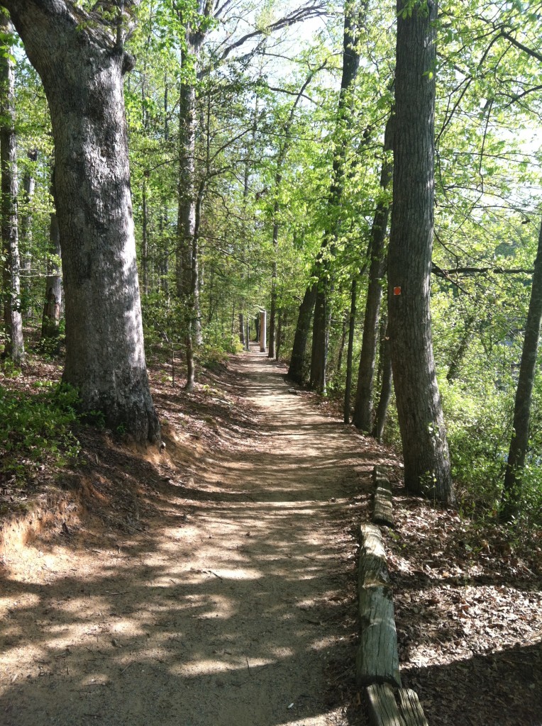 Rockwood Park, near pond