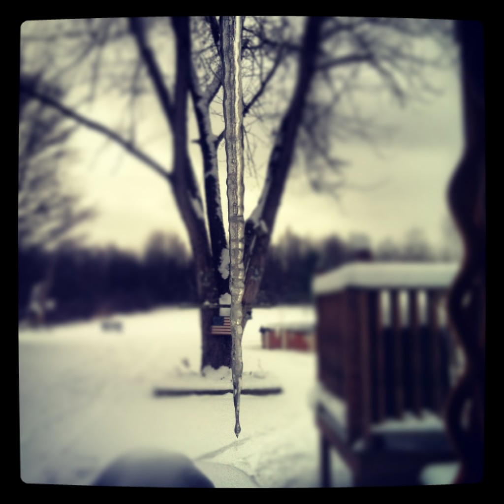 2013 Thanksgiving in Ohio