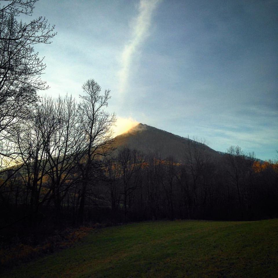 Getting back on trails regularly has been refreshing. This is from the Johnson Farm Trail looking at Sharp Top Mountain from the northeast side near my hometown of Bedford, Va.