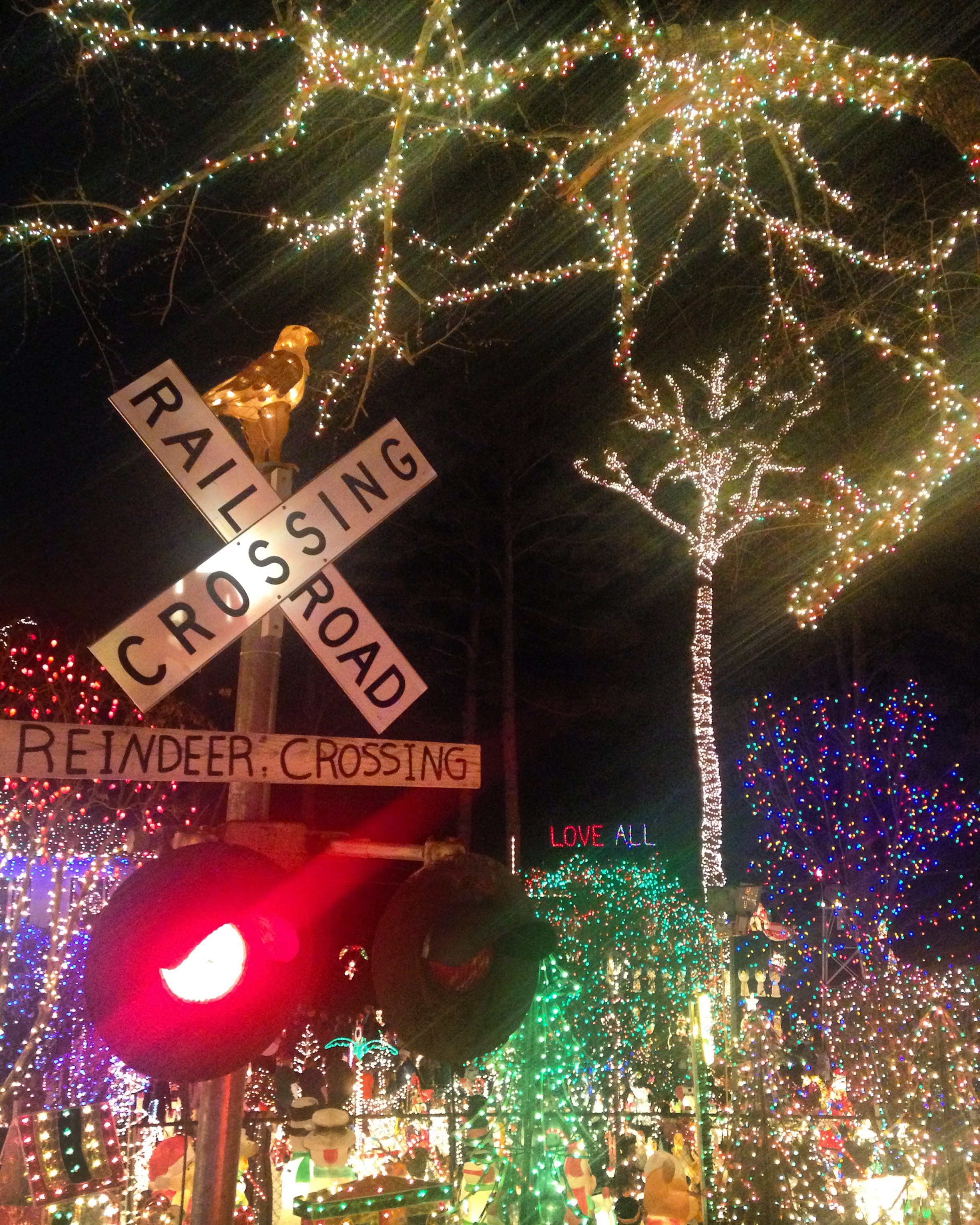 4. We love the "tacky lights" in Richmond and this year we went out a few times to catch the best ones around.&nbsp;