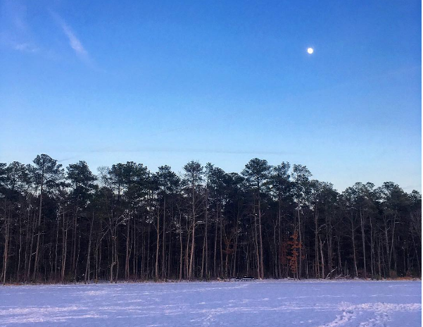 My favorite scene from January, when it was only in the teens after a snowstorm.
